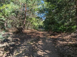 Thumbnail Photo #10 of Parcel P6, in Ellsworth Township, Lake County, near Luther, Michigan