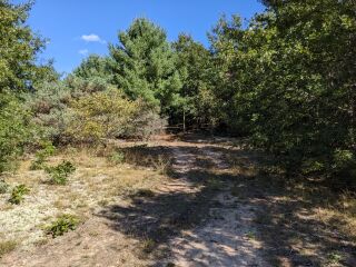 Thumbnail Photo #11 of Parcel P6, in Ellsworth Township, Lake County, near Luther, Michigan