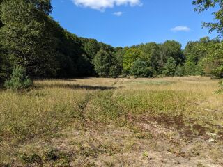 Thumbnail Photo #12 of Parcel P6, in Ellsworth Township, Lake County, near Luther, Michigan