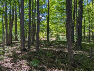 Thumbnail Photo #13 of Parcel P6, in Ellsworth Township, Lake County, near Luther, Michigan