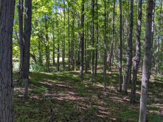 Thumbnail Photo #14 of Parcel P6, in Ellsworth Township, Lake County, near Luther, Michigan