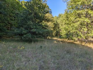 Thumbnail Photo #15 of Parcel P6, in Ellsworth Township, Lake County, near Luther, Michigan