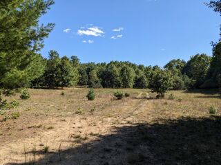 Thumbnail Photo #17 of Parcel P6, in Ellsworth Township, Lake County, near Luther, Michigan