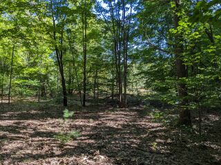 Thumbnail Photo #19 of Parcel P6, in Ellsworth Township, Lake County, near Luther, Michigan