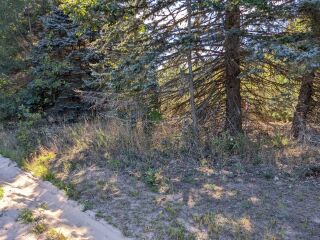 Thumbnail Photo #3 of Parcel P6, in Ellsworth Township, Lake County, near Luther, Michigan
