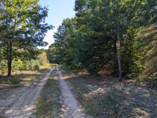 Thumbnail Photo #4 of Parcel P6, in Ellsworth Township, Lake County, near Luther, Michigan