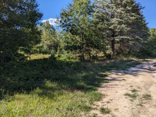 Thumbnail Photo #8 of Parcel P6, in Ellsworth Township, Lake County, near Luther, Michigan