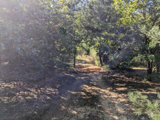 Thumbnail Photo #9 of Parcel P6, in Ellsworth Township, Lake County, near Luther, Michigan