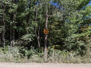 Parcel R2; Land for Sale in Clare County, Michigan 48633