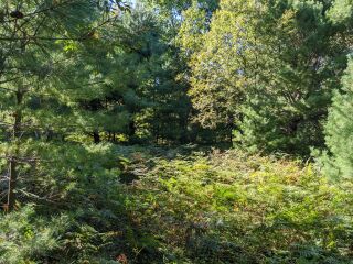 Thumbnail Photo #4 of Parcel R2, in Freeman Township, Clare County, near Lake George, Michigan