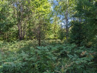 Thumbnail Photo #6 of Parcel R2, in Freeman Township, Clare County, near Lake George, Michigan