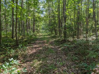 Thumbnail Photo #9 of Parcel R2, in Freeman Township, Clare County, near Lake George, Michigan