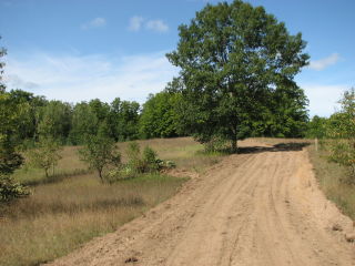 Thumbnail Photo #2 of Parcel T1, in Pioneer Township, Missaukee County, near Lake City, Michigan, 49651