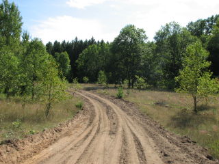 Thumbnail Photo #4 of Parcel T1, in Pioneer Township, Missaukee County, near Lake City, Michigan