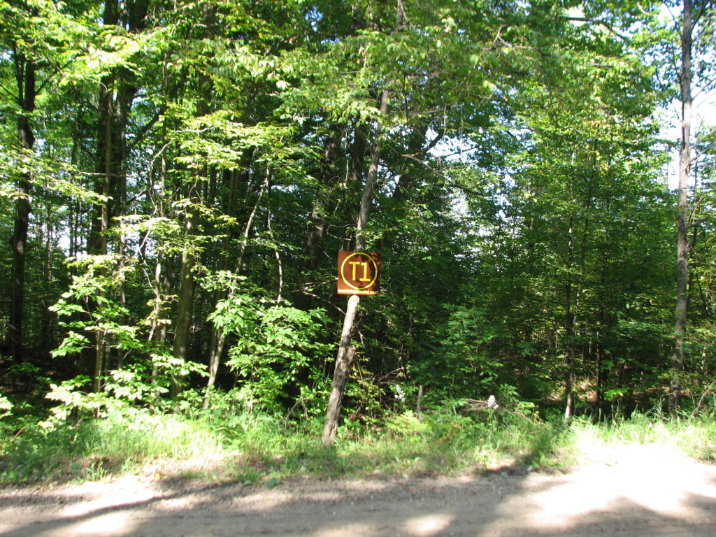 Photo # of Parcel T1, in Pioneer Township, Missaukee County, near Lake City, Michigan