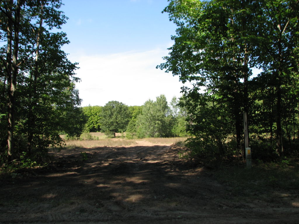 Photo # of Parcel T1, in Pioneer Township, Missaukee County, near Lake City, Michigan