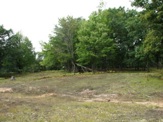 Thumbnail Photo #11 of Parcel V15, in Rose Lake Township, Osceola County, near Leroy, Michigan