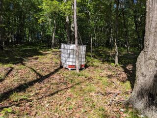 Thumbnail Photo #14 of Parcel V15, in Rose Lake Township, Osceola County, near Leroy, Michigan