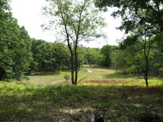 Thumbnail Photo #2 of Parcel V15, in Rose Lake Township, Osceola County, near Leroy, Michigan