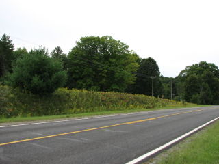 Thumbnail Photo #1 of Parcel V8, in Rose Lake Township, Osceola County, near Leroy, Michigan