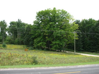 Thumbnail Photo #2 of Parcel V8, in Rose Lake Township, Osceola County, near Leroy, Michigan