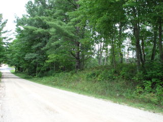 Thumbnail Photo #3 of Parcel V8, in Rose Lake Township, Osceola County, near Leroy, Michigan