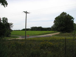 Thumbnail Photo #4 of Parcel V8, in Rose Lake Township, Osceola County, near Leroy, Michigan