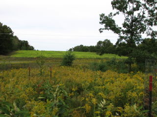 Thumbnail Photo #5 of Parcel V8, in Rose Lake Township, Osceola County, near Leroy, Michigan