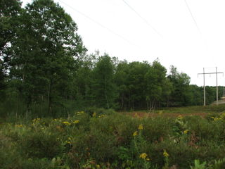 Thumbnail Photo #9 of Parcel V8, in Rose Lake Township, Osceola County, near Leroy, Michigan