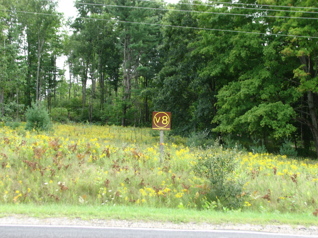 Photo # of Parcel V8, in Rose Lake Township, Osceola County, near Leroy, Michigan