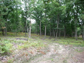 Thumbnail Photo #11 of Parcel V9, in Rose Lake Township, Osceola County, near Leroy, Michigan