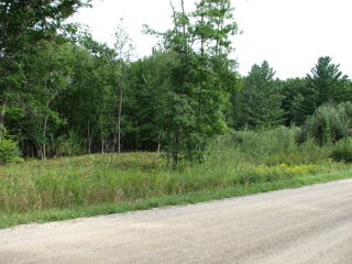 Thumbnail Photo #2 of Parcel V9, in Rose Lake Township, Osceola County, near Leroy, Michigan