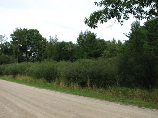 Thumbnail Photo #4 of Parcel V9, in Rose Lake Township, Osceola County, near Leroy, Michigan