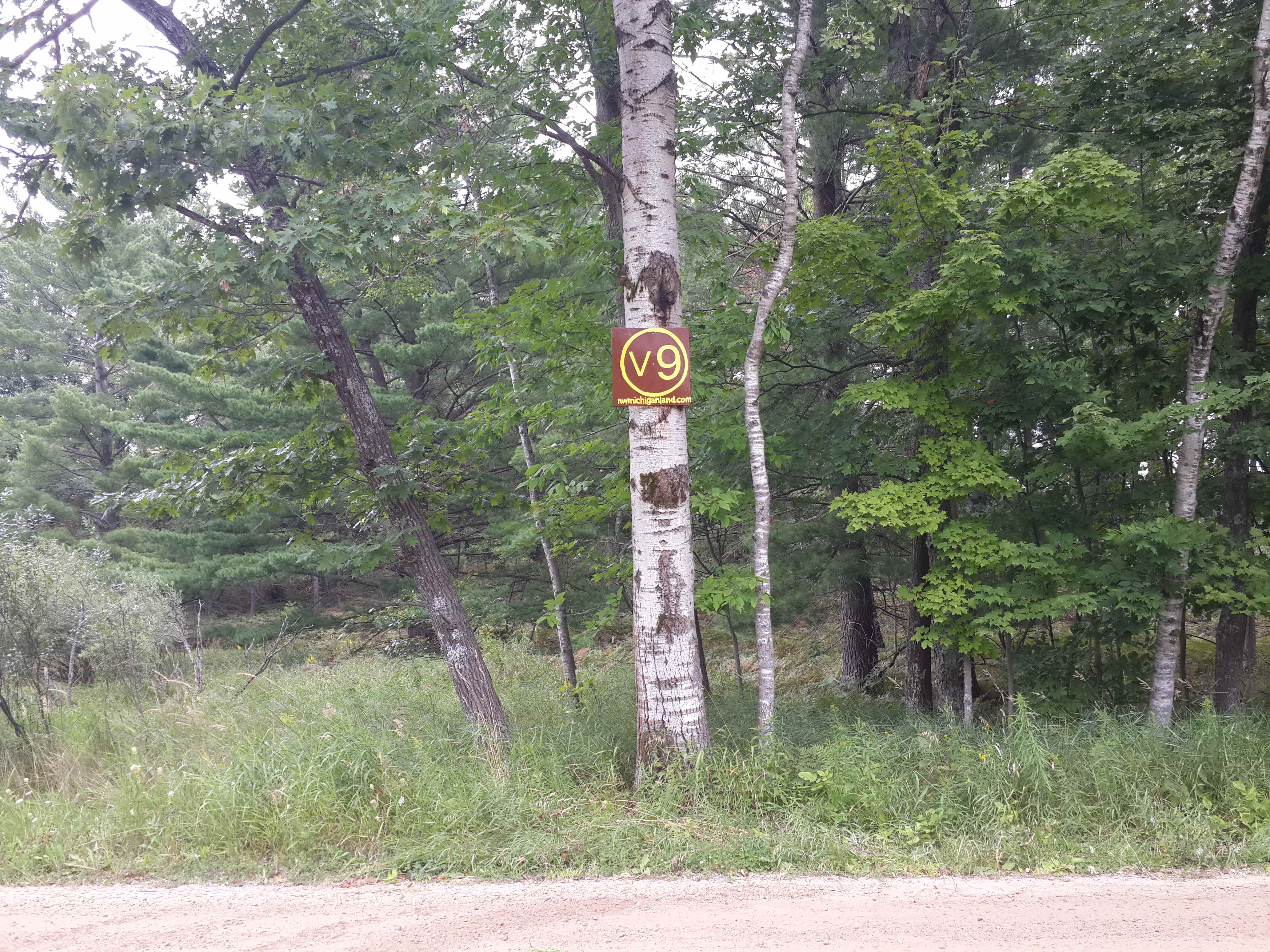 Photo # of Parcel V9, in Rose Lake Township, Osceola County, near Leroy, Michigan