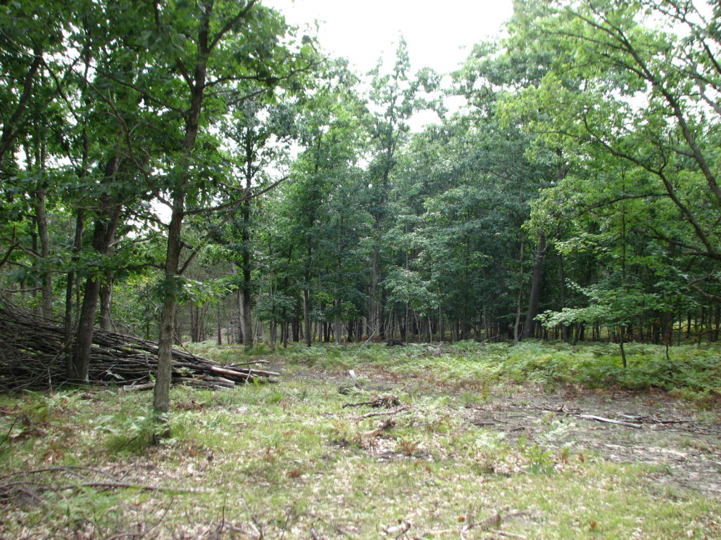 Photo # of Parcel V9, in Rose Lake Township, Osceola County, near Leroy, Michigan