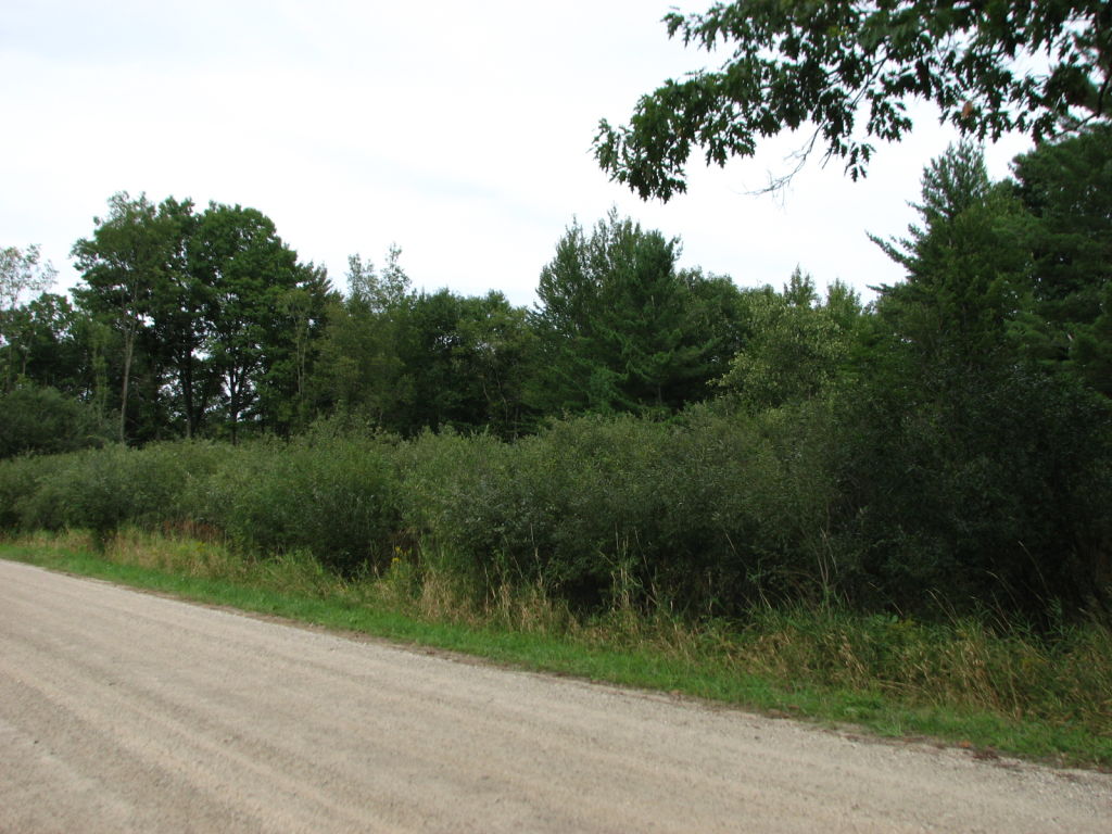Photo # of Parcel V9, in Rose Lake Township, Osceola County, near Leroy, Michigan