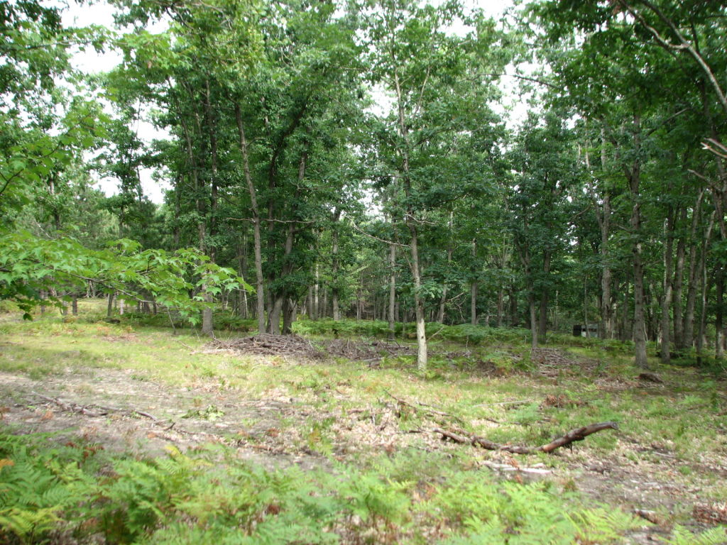Photo # of Parcel V9, in Rose Lake Township, Osceola County, near Leroy, Michigan